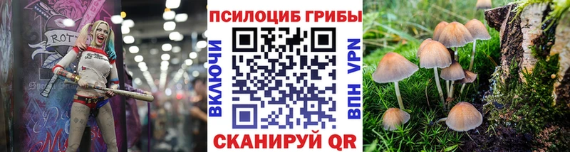 Псилоцибиновые грибы ЛСД  Купить где  Старица 