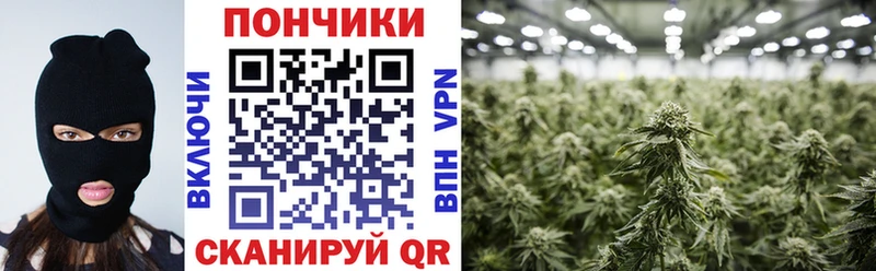 Купить где  Старица  Канабис конопля 